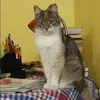 Отзыв от Инна Некрасова